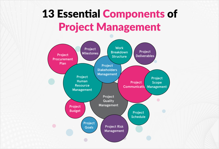 Essential components of project management